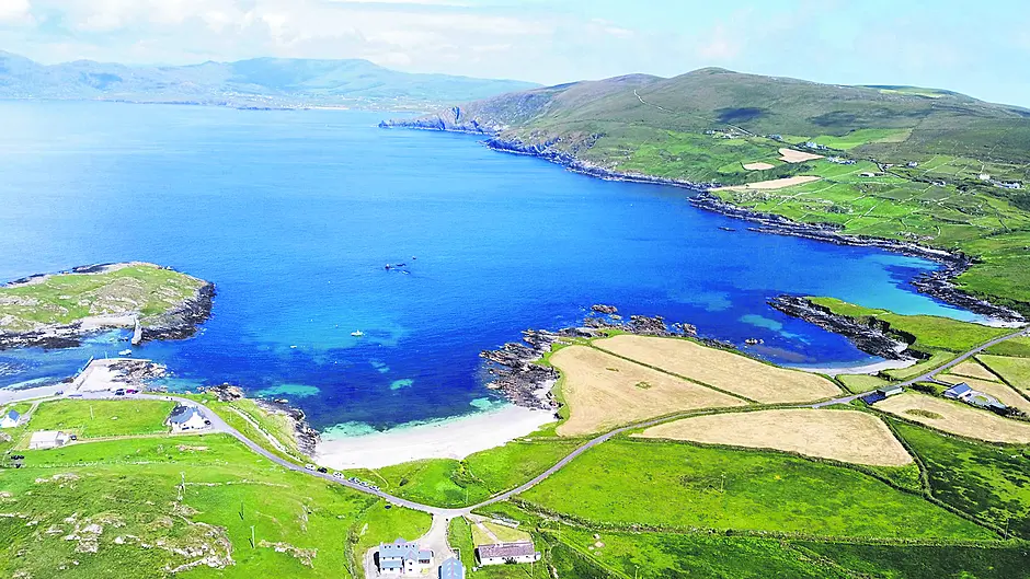 Garnish Bay’s mackerel industry to be remembered this weekend Image