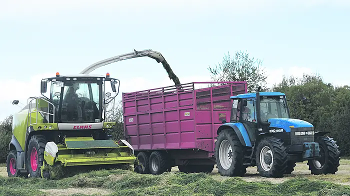 FARM CLASSICS: Smooth and sleek New Holland 8560 Image
