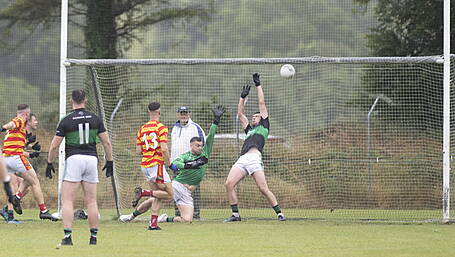 Newcestown find Nemo Rangers in top form Image