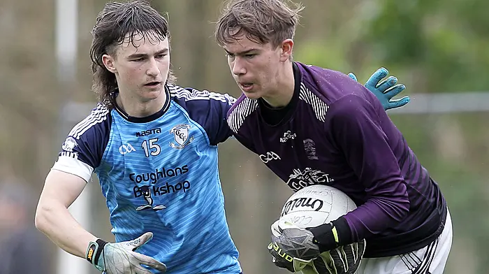 Skibb and Hammies seeded for Corn Uí Mhuirí draw Image