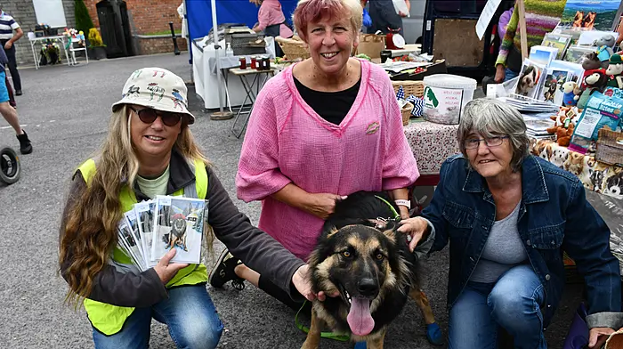 ‘Miracle’ dog Seamus makes guest appearance at market Image