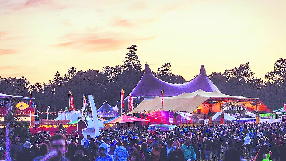 Tasty mix served up at Electric Picnic Image