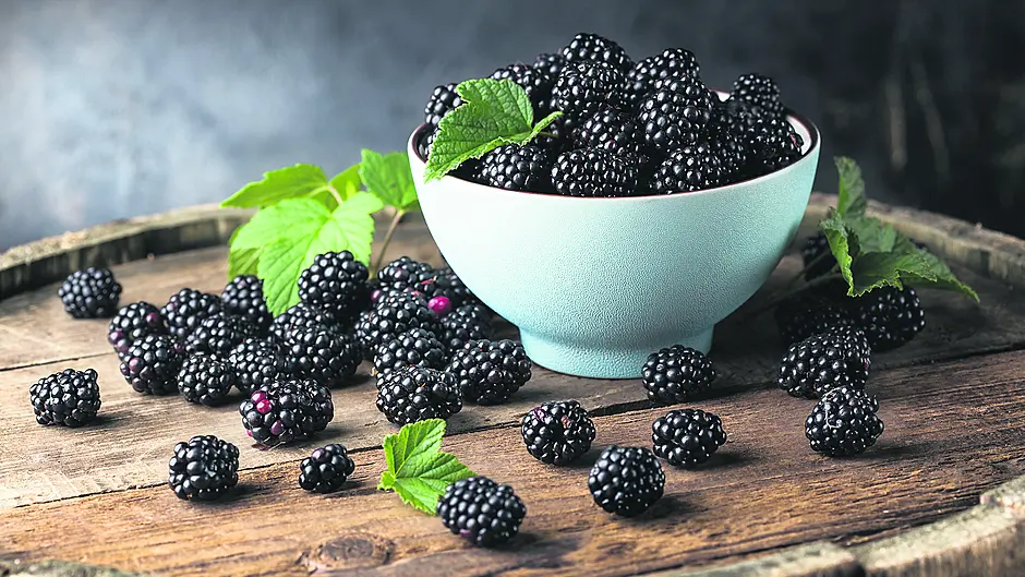 Blackberry picking with nana wasn’t just a joy, it was a delightful education Image