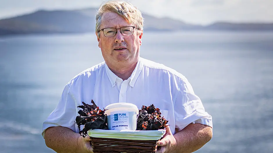 Beara’s Pure Ocean Algae set to double staff after funding boost Image
