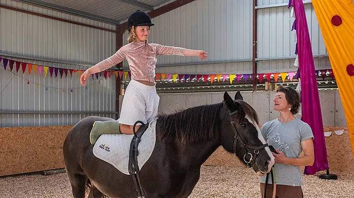 Hairy Henry is the ‘mane’ attraction at therapeutic riding centre’s new barn Image