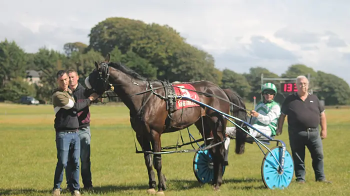 The perfect ten for Timmy Moloney in Lyre Image