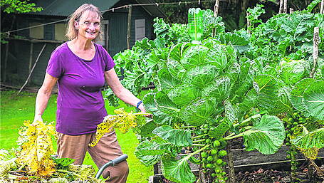 GARDENING: Less demanding autumnal garden Image