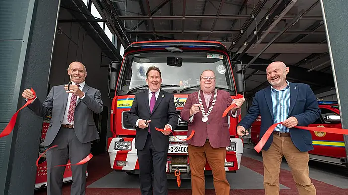 Panels and pollinators at Macroom fire station Image