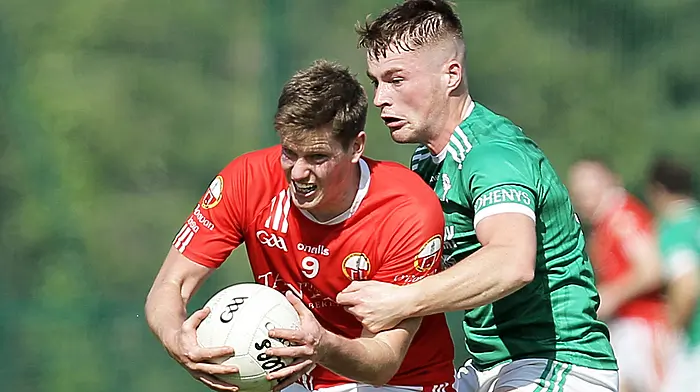 Derby delight for Skibbereen Image