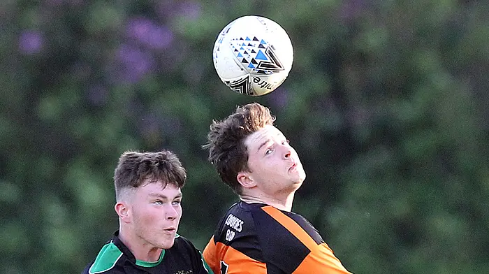 Hurley and Lucey fire Togher to WCL Premier Division win Image