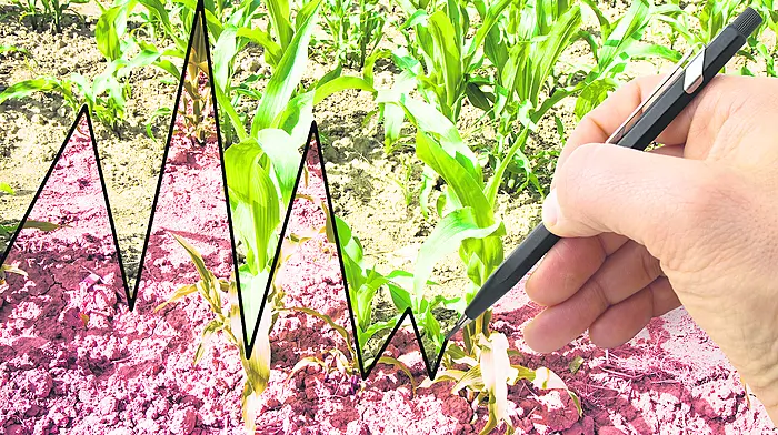 A challenging year ahead for farming with costs still rising Image