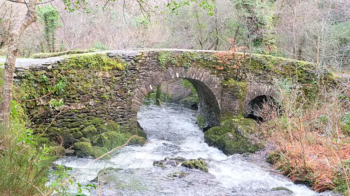 READER’S PICTURE OF THE WEEK Image