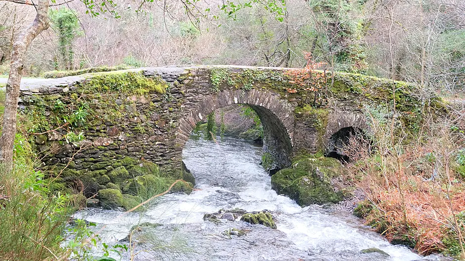 READER’S PICTURE OF THE WEEK Image