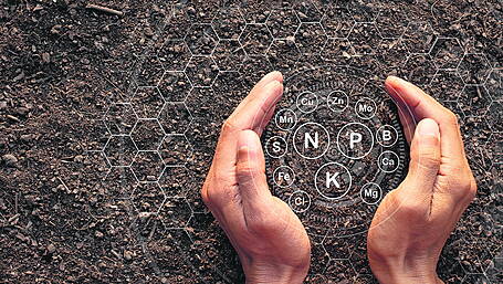 SPECIAL REPORT: Farmers facing difficult choices with fertiliser price hikes and shortages Image