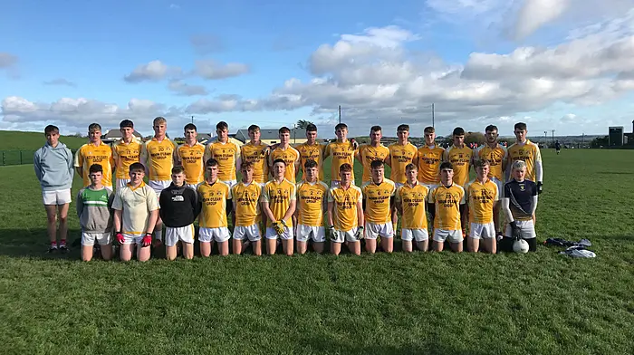 Hamilton High School in uncharted territory as footballers target Munster final Image