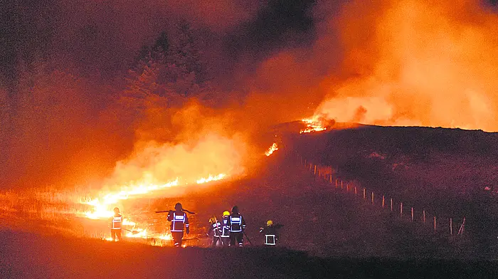 Property could be at risk from gorse fires Image
