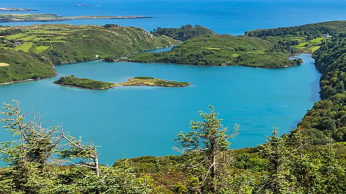Death of swimmer at Lough Hyne near Skibbereen Image