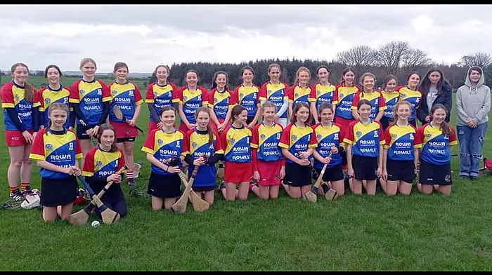 Carbery U14 camogie players set their sights on Cork Image