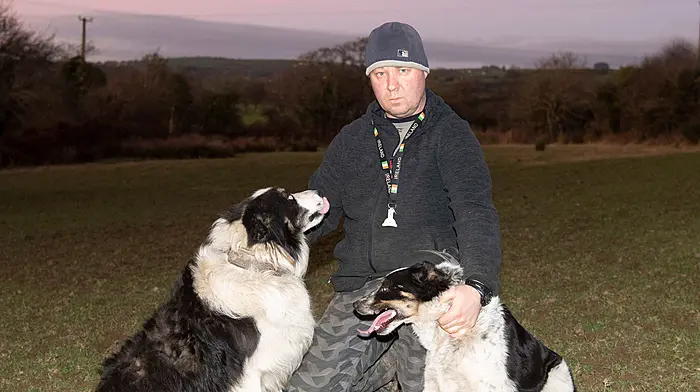 Martin is proving you can teach an old dog new tricks – once you know how! Image