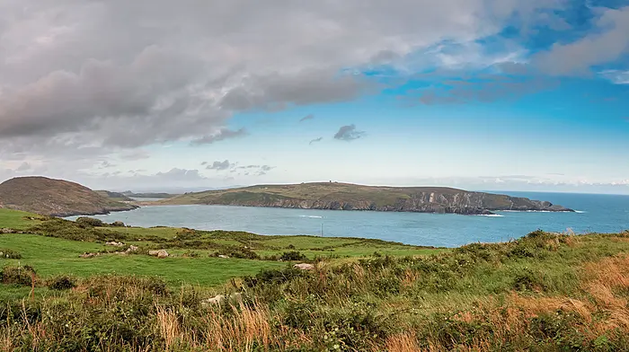 Why is Mizen peninsula missing from the Department’s eco payments map? Image