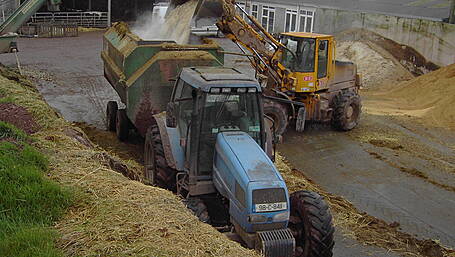 FARM CLASSICS: Landini – the low-cost Italian Legend not to be sneered at! Image