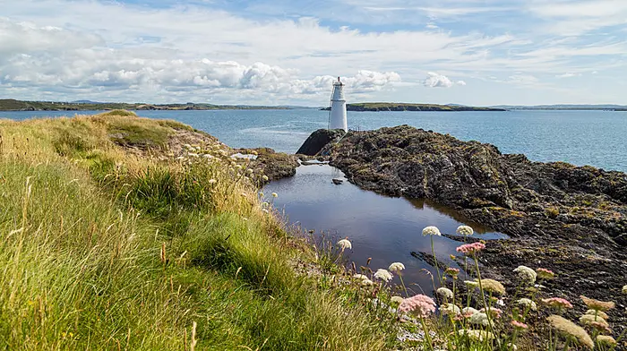 Great West Cork sea swimming spots | Islands edition Image