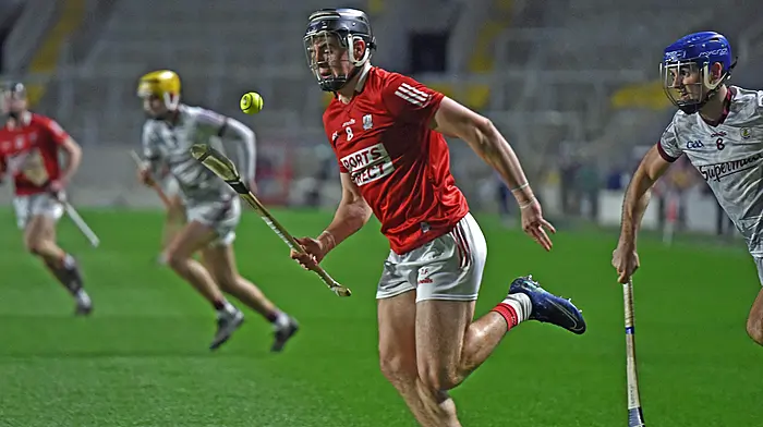 Darragh Fitzgibbon ready for Croker cauldron Image
