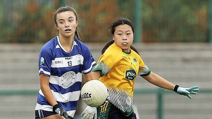 Heroic Haven ladies reach senior ranks Image