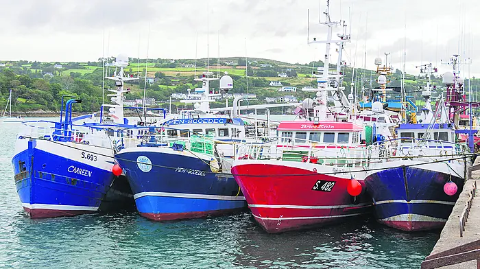Minister must act urgently to save fishing, pleads Murphy Image