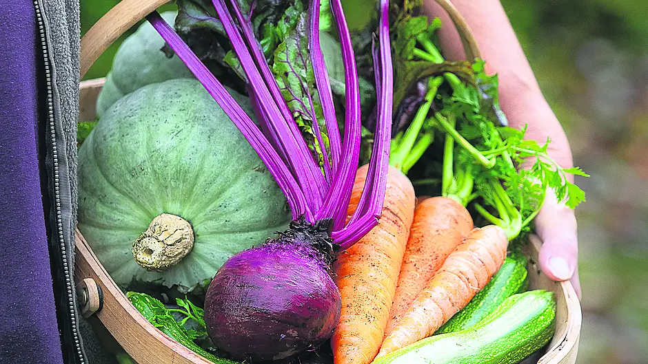 Plenty to eat between fresh and stored crops.			                  (Photos: Ben Russell)