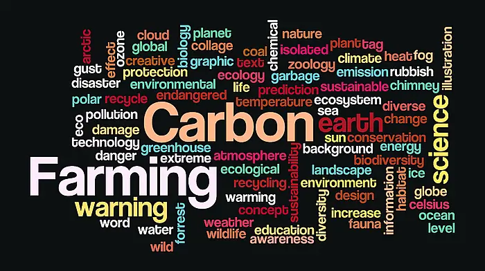 Farmers must look to themselves to meet the 2030 emissions targets Image