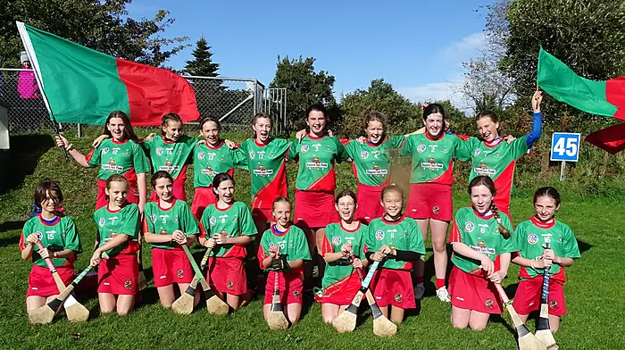 Great win for Clon camogie Image