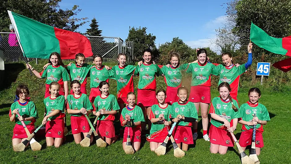 Great win for Clon camogie Image