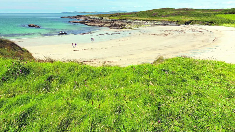West Cork islands are in trouble Image