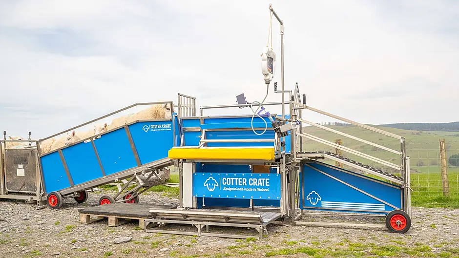 Sheep organics and Cotter Crate open day Image