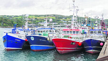 Getting 54 decommission requests from fishers is not ‘success’ – Collins Image