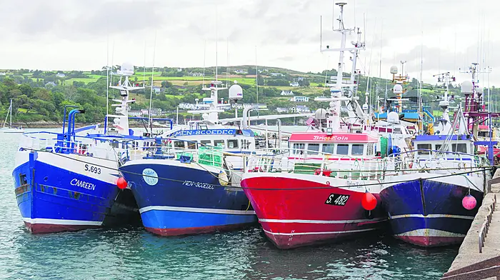 Getting 54 decommission requests from fishers is not ‘success’ – Collins Image