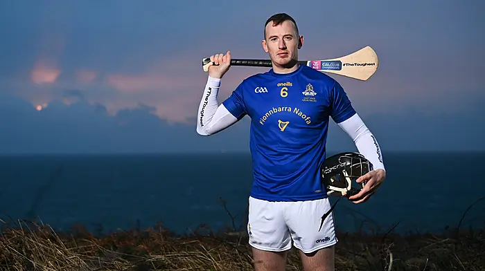 Cork football return not on the cards for dual star Cahalane Image