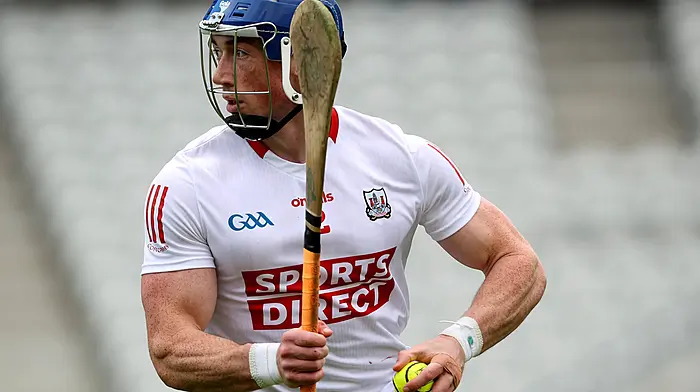 ‘Ultimate pro’ Sean O’Donoghue to lead Rebels by example Image