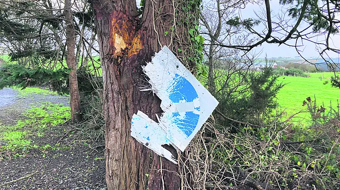 Explosion at Skibbereen vet practice after lightning strike Image
