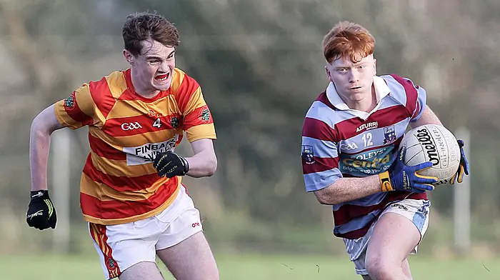 Impressive Ibane win superb West Cork final Image