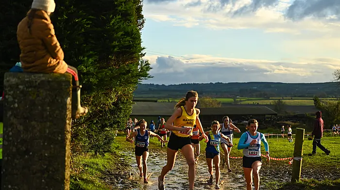 Everard storms to national novice cross-country glory Image