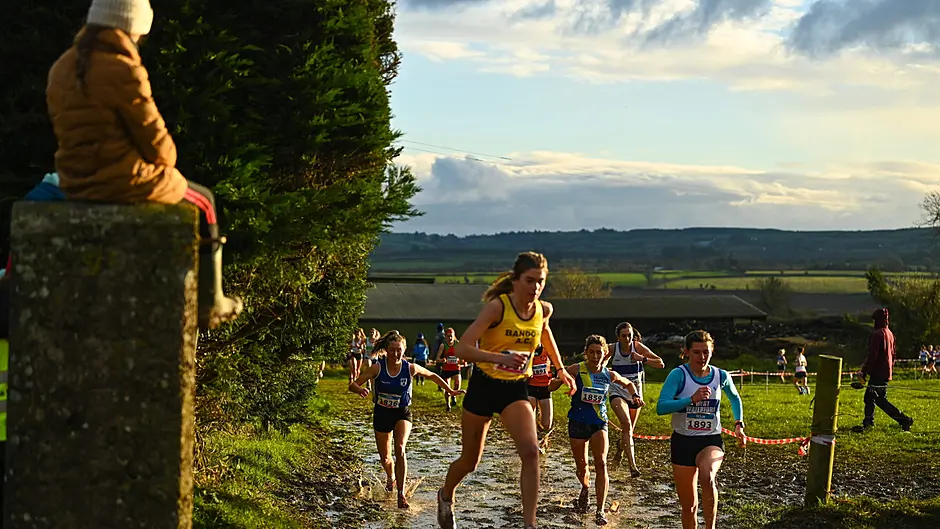 Everard storms to national novice cross-country glory Image