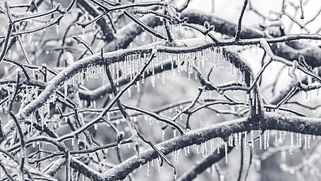 Met Éireann issues low temperature/ ice warning for Cork Image