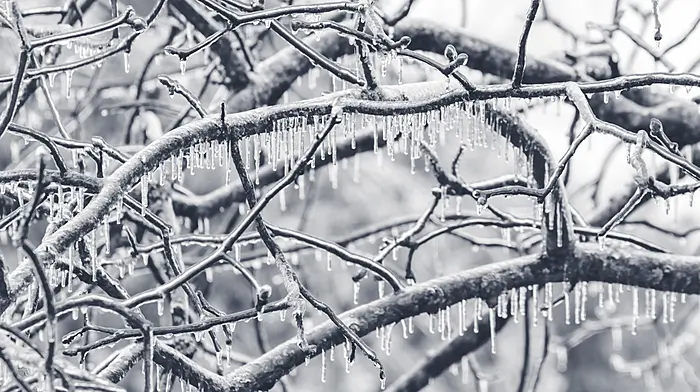 Met Éireann issues low temperature/ ice warning for Cork Image
