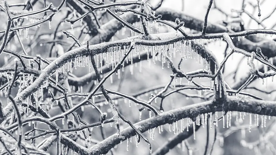 Met Éireann issues low temperature/ ice warning for Cork Image