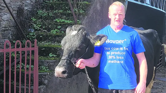 Frustration at lack of recognition for farms using methane-reducing feeds Image