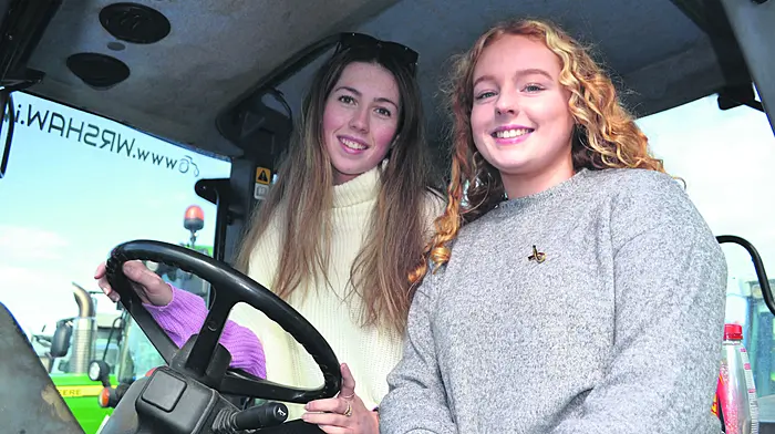 PICTURE GALLERY: Out and About in West Cork Image