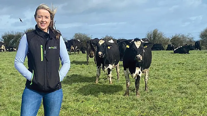Positive outlook for the dairy trade Image