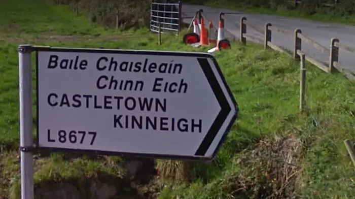 Farmer dies after bull attack on farm near Enniskeane Image